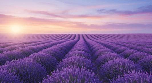 Combattez le stress avec SoPuure : Une solution naturelle et efficace - SoPuure
