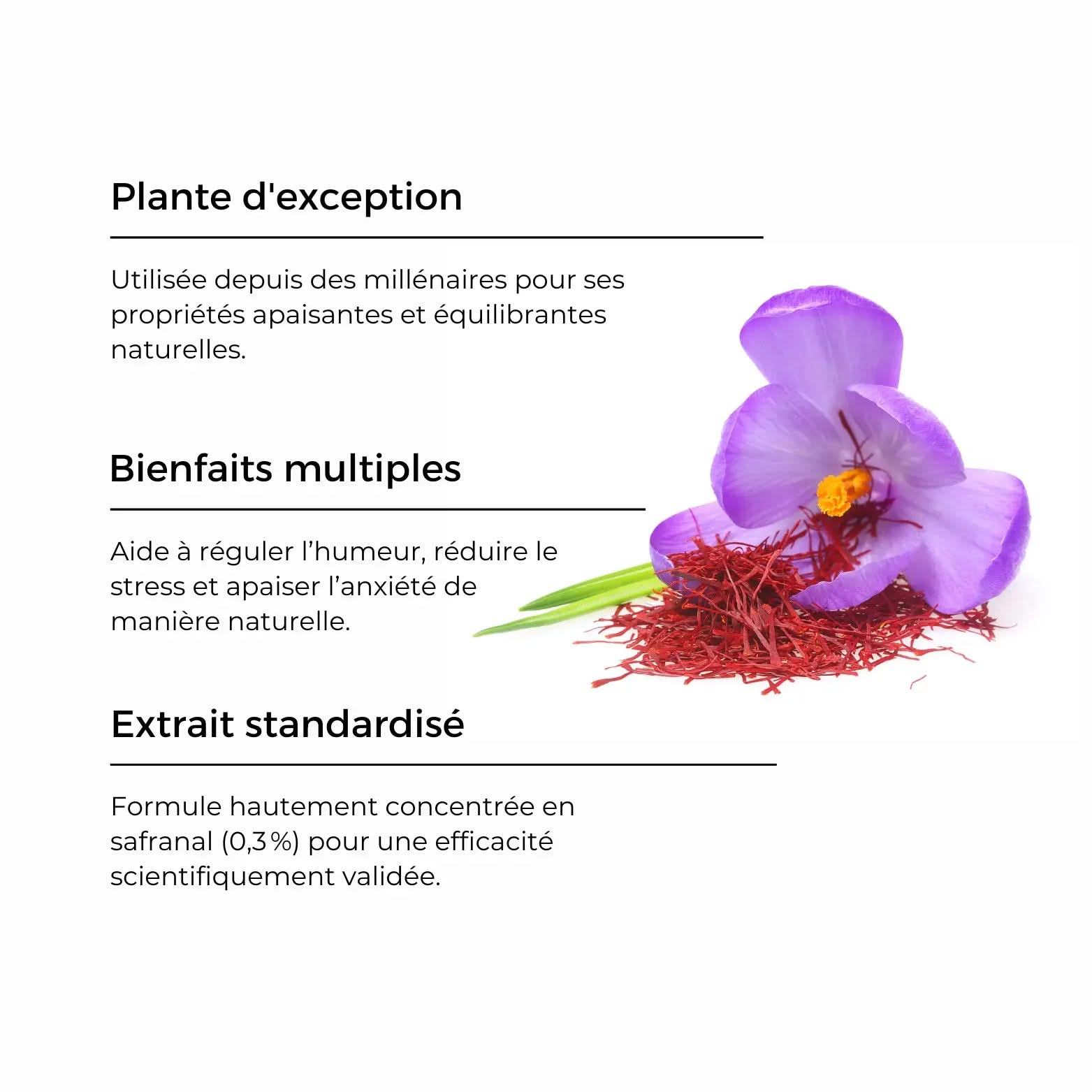 HUMEUR & ANXIÉTÉ - SoPuure